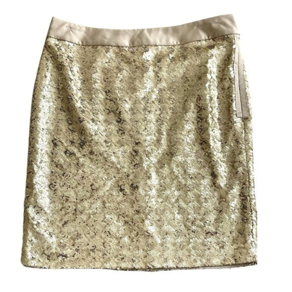 ✨ Sparkle in Style: The Limited Sequin Skirt 🌟 Size 12